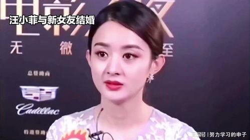 娛樂(lè )八卦吃瓜趙麗穎視頻在線(xiàn)觀(guān)看,揭秘幕后故事，帶你領(lǐng)略明星風(fēng)采