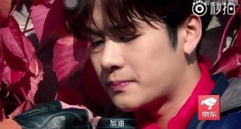 吃瓜娛樂(lè )圈王嘉爾是誰(shuí),娛樂(lè )圈的瓜中明星