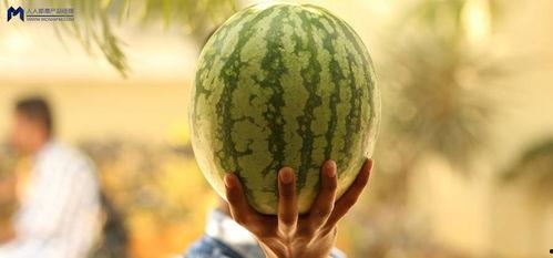 如何吃?shī)蕵?lè )圈的瓜,揭秘明星幕后那些事兒