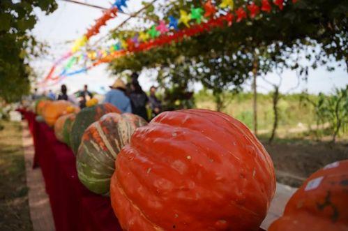 浮云娛樂(lè )吃瓜,揭秘娛樂(lè )圈最新吃瓜事件