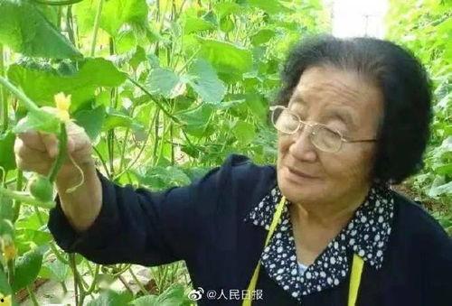 娛樂(lè )吃瓜醬不疊被子,揭秘明星不疊被子的秘密生活