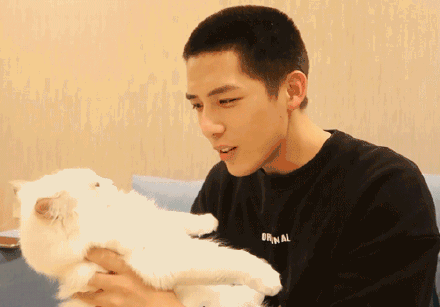 王安宇娛樂(lè )吃瓜,幕后故事與精彩瞬間