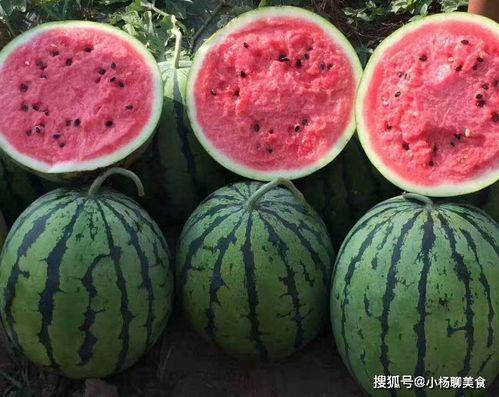 笑不活了娛樂(lè )吃瓜醬,笑不活了！娛樂(lè )吃瓜醬帶你揭秘娛樂(lè )圈那些鮮為人知的幕后故事