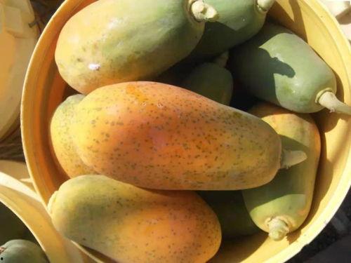 娛樂(lè )718sx吃瓜,揭秘娛樂(lè )圈最新吃瓜事件