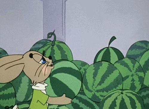 全球吃瓜娛樂(lè ),瓜田李下，娛樂(lè )盛宴