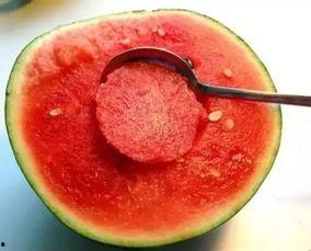 娛樂(lè )吃瓜醬美玉視頻大全,美玉視頻大全精彩回顧