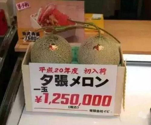 吃瓜群眾休閑娛樂(lè )館,一站式娛樂(lè )新體驗