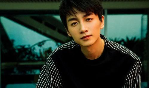 娛樂(lè )圈吃瓜情報局陳曉,娛樂(lè )圈吃瓜情報局揭秘，明星背后的故事