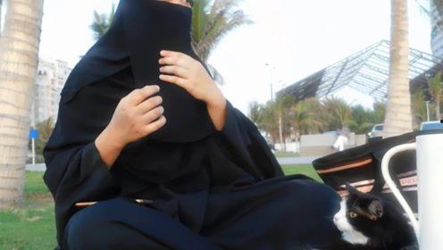 娛樂(lè )吃瓜君七七的視頻,揭秘娛樂(lè )圈幕后故事