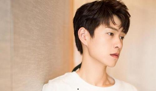 吃瓜娛樂(lè )圈任豪,娛樂(lè )圈的瓜田新秀，星光璀璨的蛻變之路