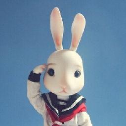 娛樂(lè )吃瓜直播間兔子,揭秘娛樂(lè )圈幕后吃瓜大揭秘