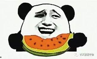 娛樂(lè )圈吃瓜系統雕動(dòng)畫(huà),揭秘明星幕后故事