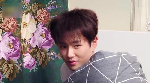 娛樂(lè )圈吃瓜李宏毅是誰(shuí)啊,揭秘他的明星之路