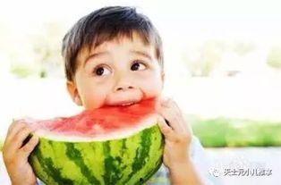 娛樂(lè )吃瓜君說(shuō)二豆,二豆背后的故事與真相