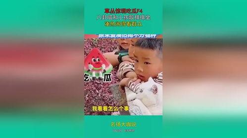 娛樂(lè )吃瓜群眾歌曲大全,歌曲大全盤(pán)點(diǎn)