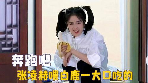 愛(ài)豆吃瓜娛樂(lè )白鹿,愛(ài)豆吃瓜娛樂(lè )背后的故事