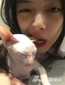 娛樂(lè )吃瓜醬虐貓博主,揭秘網(wǎng)絡(luò )暴力背后的真相