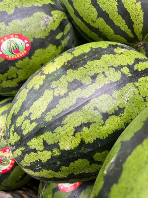 娛樂(lè )吃瓜錢(qián),吃瓜群眾如何用“錢(qián)”解鎖明星幕后故事