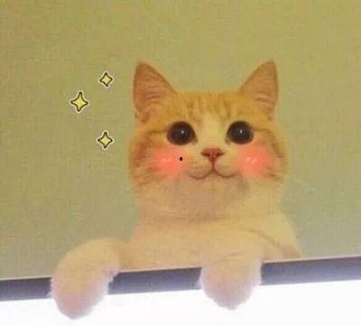 貓貓永不為奴娛樂(lè )吃瓜醬,揭秘娛樂(lè )圈幕后趣聞