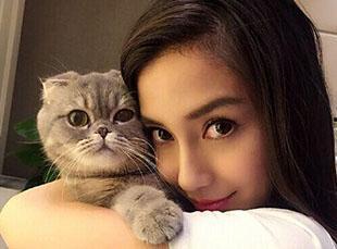 娛樂(lè )圈貓貓吃瓜圖片,萌態(tài)十足揭秘明星幕后趣聞