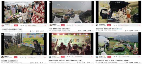 娛樂(lè )吃瓜視頻剪映下載,輕松下載娛樂(lè )視頻，暢享追劇樂(lè )趣