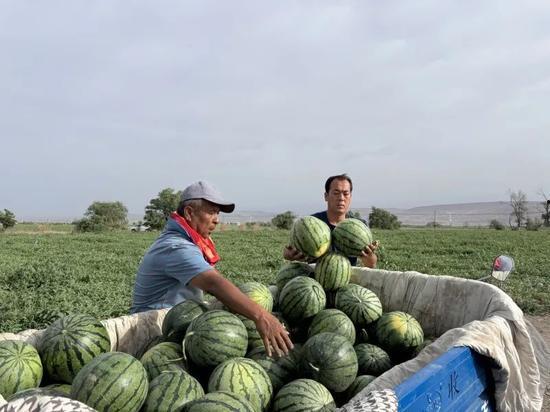 每天娛樂(lè )吃瓜,娛樂(lè )圈新鮮事速遞