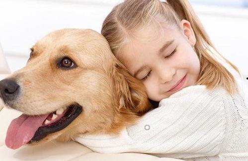 娛樂(lè )吃瓜寵物推薦,盤(pán)點(diǎn)那些愛(ài)看熱鬧的萌寵