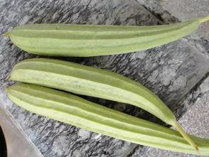 專(zhuān)業(yè)娛樂(lè )吃瓜,揭秘明星幕后那些事兒