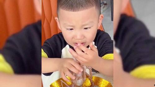 娛樂(lè )吃瓜醬小男孩,揭秘娛樂(lè )圈背后的故事