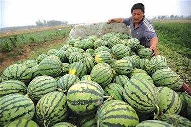 娛樂(lè )吃瓜居民,吃瓜群眾眼中的明星生活