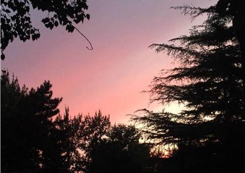 娛樂(lè )吃瓜醬晚霞,吃瓜醬帶你領(lǐng)略?shī)蕵?lè )圈晚霞時(shí)刻