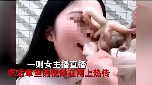 娛樂(lè )吃瓜醬的作品真誠才是必殺計,娛樂(lè )吃瓜醬的“必殺計”揭秘