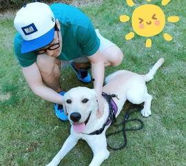 娛樂(lè )圈吃瓜小狗小說(shuō)免費閱讀,吃瓜小狗的甜蜜復仇之旅