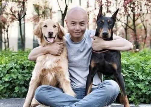 娛樂(lè )圈吃瓜小狗小說(shuō)免費閱讀,吃瓜小狗的甜蜜復仇之旅