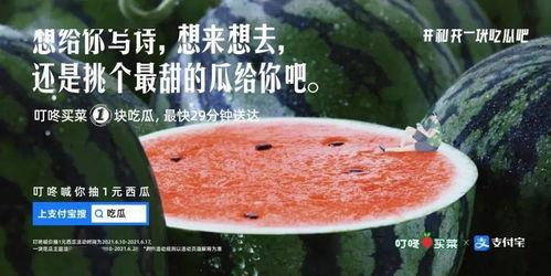 娛樂(lè )吃瓜的文案,吃瓜群眾必備的幕后花絮大匯總