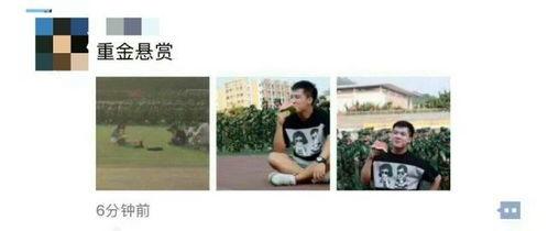 娛樂(lè )吃瓜資料來(lái)源于哪里,揭秘娛樂(lè )圈吃瓜資料的來(lái)源與傳播