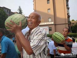 吃瓜娛樂(lè )照片大全,吃瓜娛樂(lè )照片大全大匯總