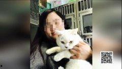 娛樂(lè )吃瓜醬小貓坐公交車(chē),萌寵坐公交，趣味橫生一幕