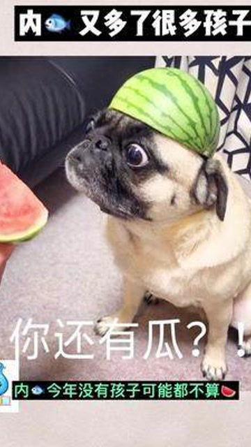 娛樂(lè )吃瓜寶寶,揭秘娛樂(lè )圈那些不為人知的幕后故事