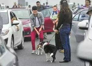 娛樂(lè )吃瓜醬遛狗小說(shuō)下載,小說(shuō)世界里的歡樂(lè )與溫情