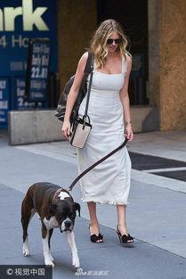 娛樂(lè )吃瓜醬遛狗小說(shuō)下載,小說(shuō)世界里的歡樂(lè )與溫情