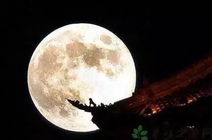 月亮吃瓜娛樂(lè )說(shuō),揭秘娛樂(lè )圈幕后故事