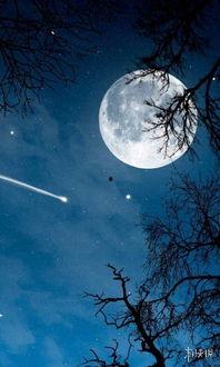 月亮吃瓜娛樂(lè )說(shuō),揭秘娛樂(lè )圈幕后故事