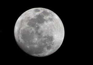 月亮吃瓜娛樂(lè )說(shuō),揭秘娛樂(lè )圈幕后故事