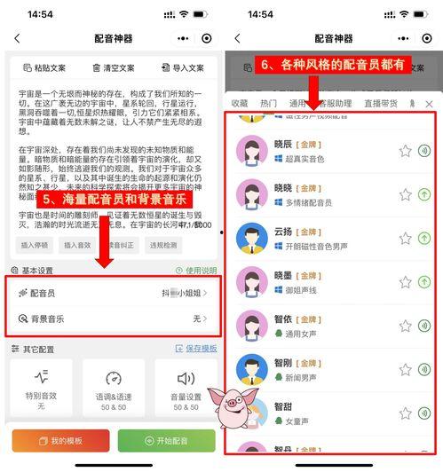 娛樂(lè )吃瓜音效軟件哪個(gè)好,哪個(gè)是你的最佳選擇？