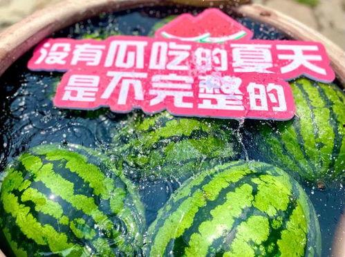 娛樂(lè )場(chǎng)所日常吃瓜,揭秘日常吃瓜背后的故事與真相