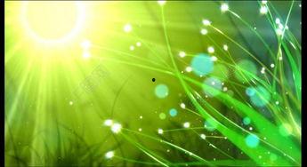 娛樂(lè )吃瓜視頻背景素材