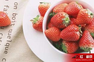 娛樂(lè )吃瓜醬草莓視頻下載,娛樂(lè )吃瓜醬帶你輕松獲取熱門(mén)娛樂(lè )內容