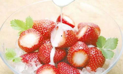 娛樂(lè )吃瓜醬草莓視頻下載,娛樂(lè )吃瓜醬帶你輕松獲取熱門(mén)娛樂(lè )內容