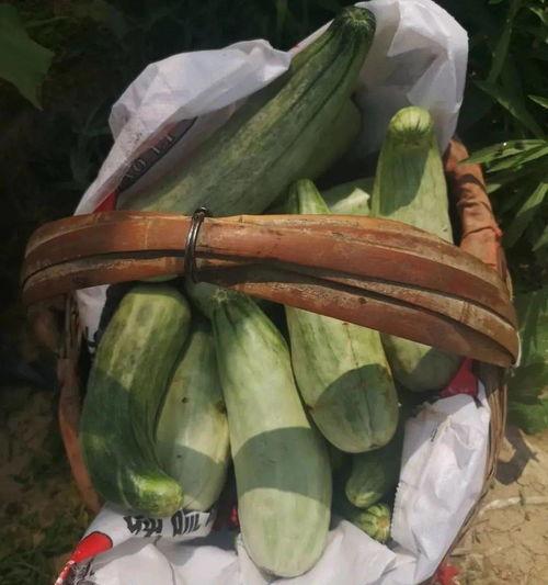 娛樂(lè )吃瓜帶貨,娛樂(lè )圈吃瓜達人帶你解鎖帶貨新姿勢